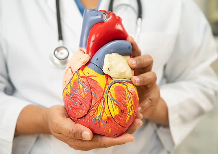 Ayuda en control de enfermedades cardiovasculares